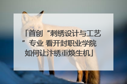 首创“刺绣设计与工艺”专业 看开封职业学院如何让汴绣重焕生机